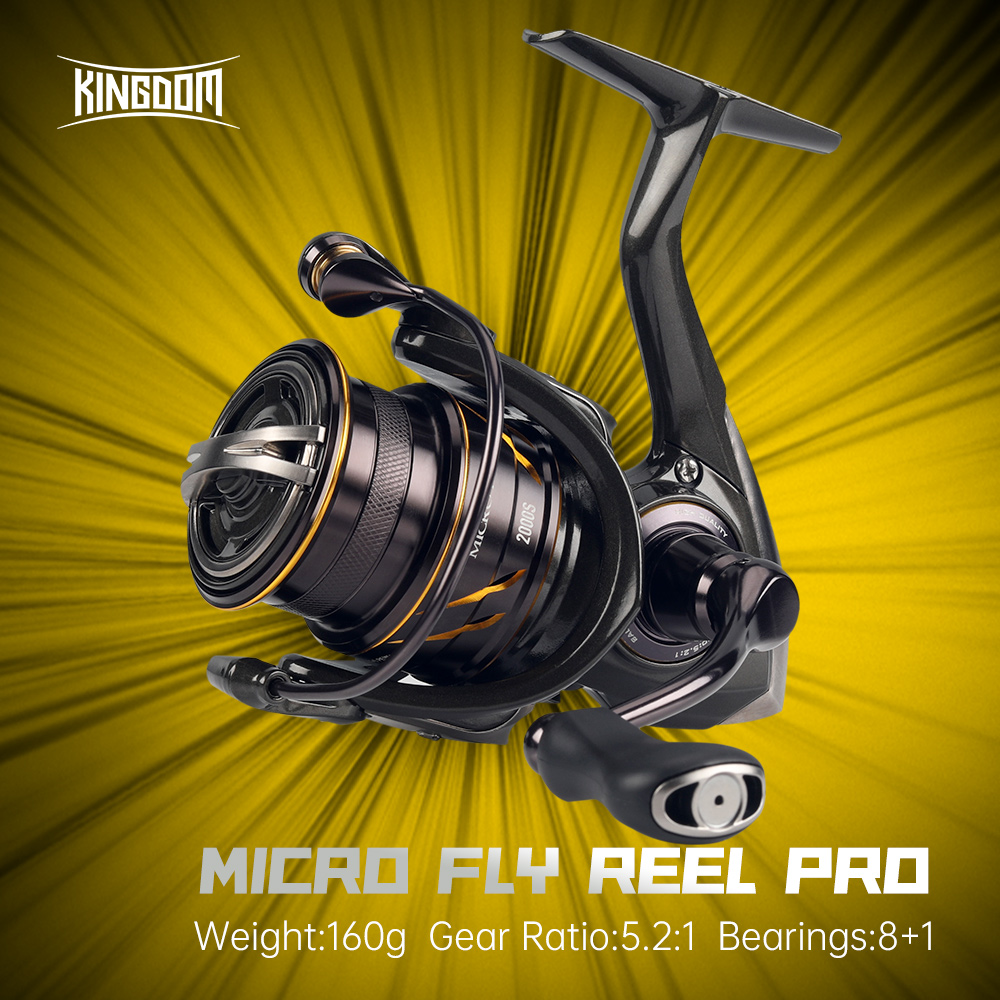 Kingdom Micro Fly Pro Angelrol – Abu Garcia Reel Revo Bewertung und Preis