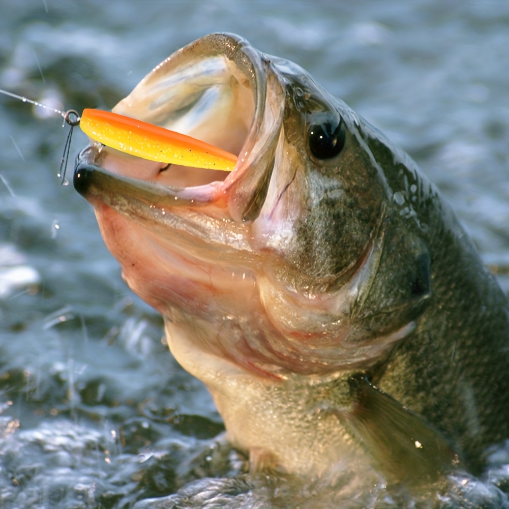 50 teile/schachtel Angeln Lock – Fishing Lure Soft Plastic Bewertung und Preis